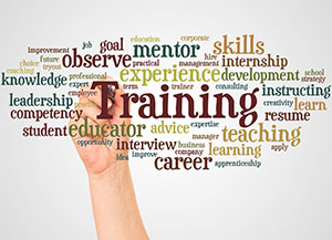 training-education-and-career-concepts-in-word-c-2026-03-26-08-05-50-utc
